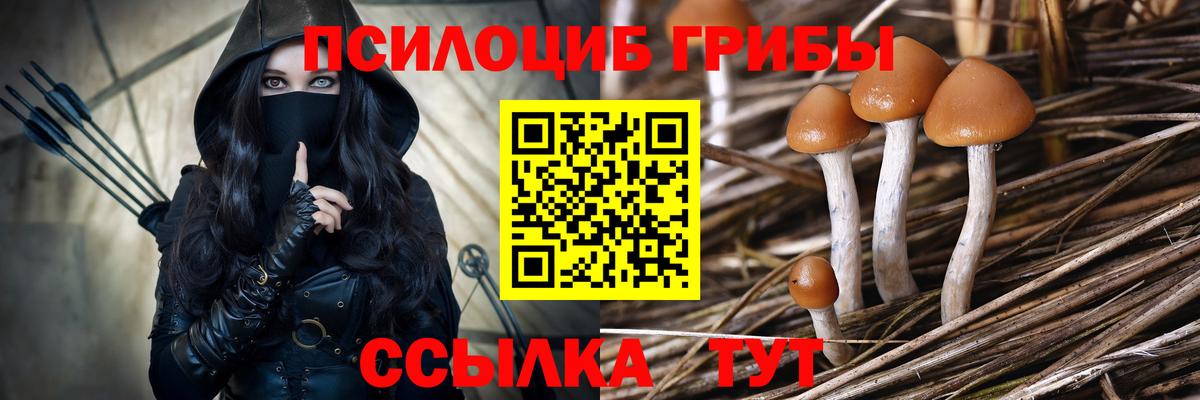 Энгельс  Галлюциногенные грибы Psilocybe  Вход с VPN 